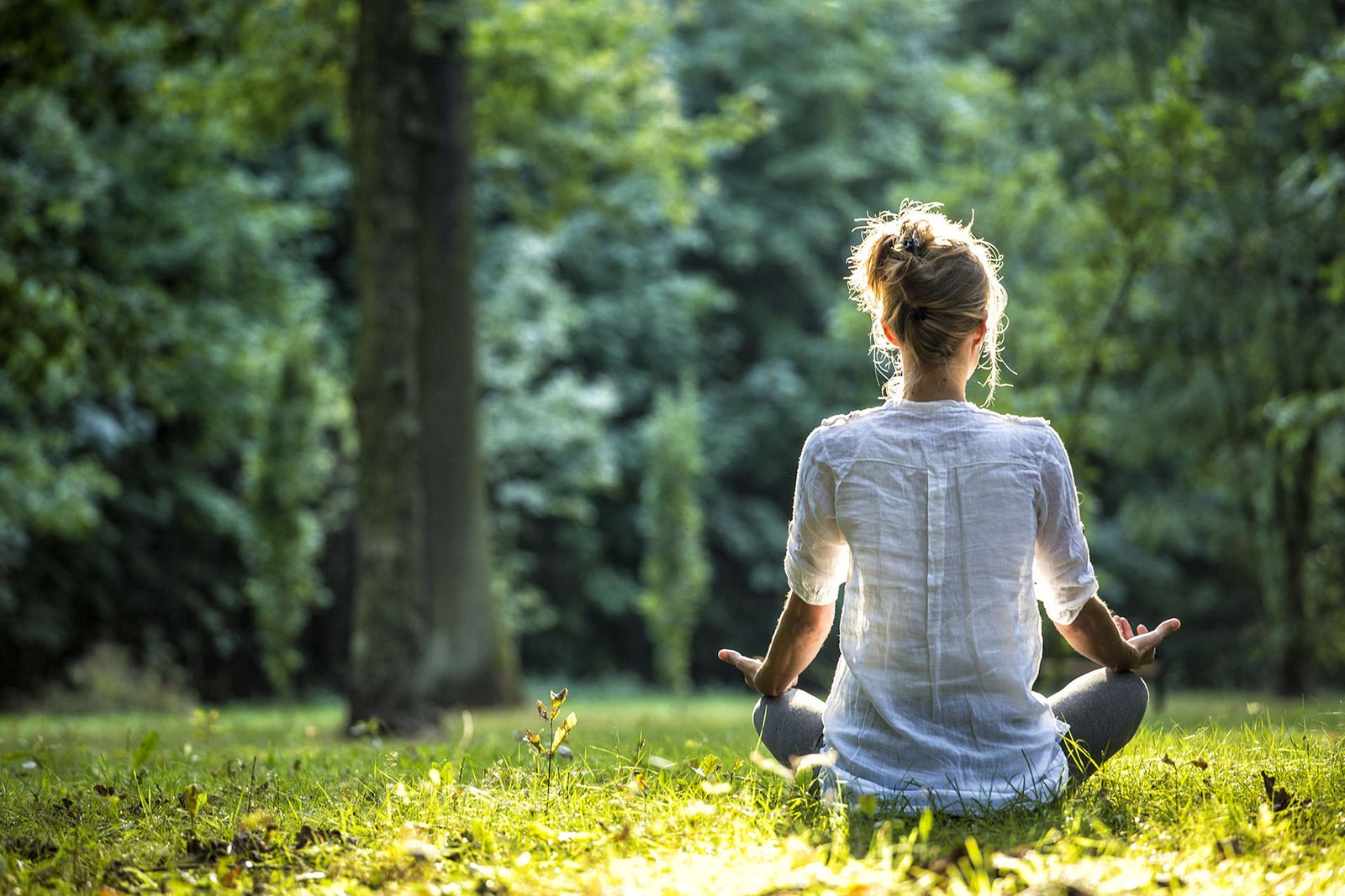 Yoga Therapy During Addiction Recovery in Pennsylvania